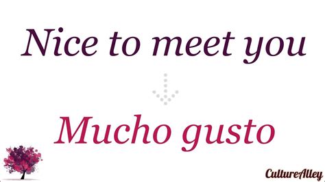 nice to meet you ladies in spanish|nice to meet you translate.